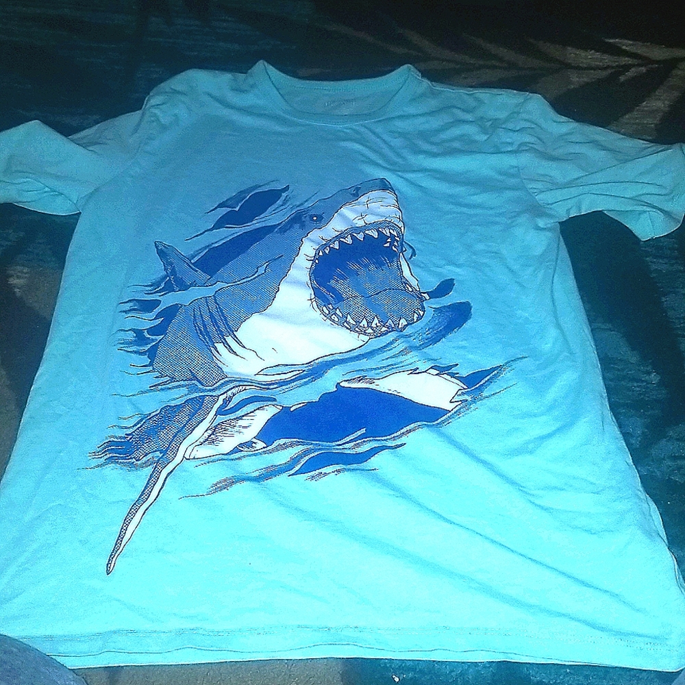 A shark shiry